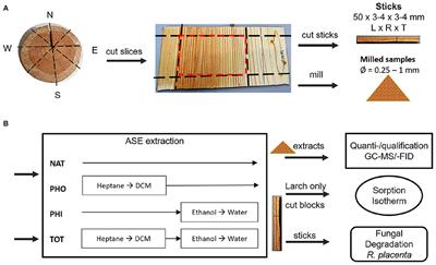 Hydrophobic and Hydrophilic Extractives in Norway Spruce and Kurile Larch and Their Role in Brown-Rot Degradation